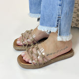 Birken Liza - Bronze